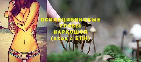 apvp Михайловск