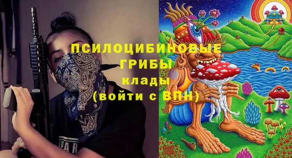 ешки Бородино