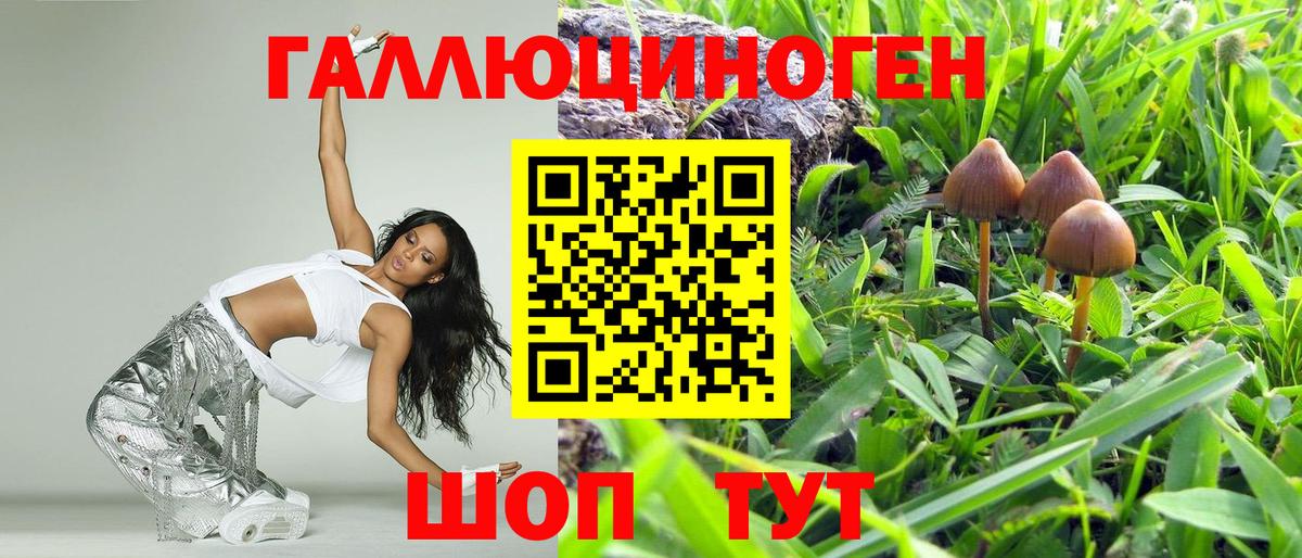 Комсомольск-на-Амуре  Псилоцибиновые грибы прущие грибы  купить наркотики сайты  Вход с VPN 